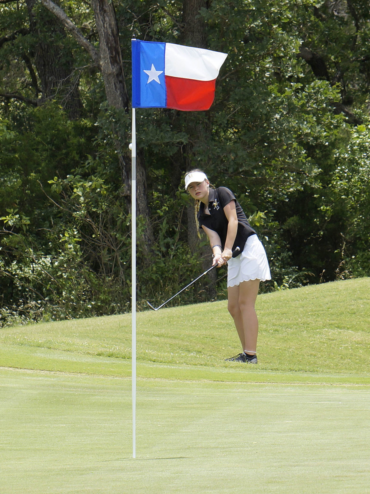 State golf